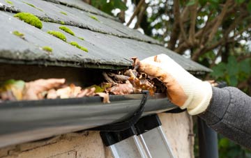 gutter cleaning Lower Grange, West Yorkshire